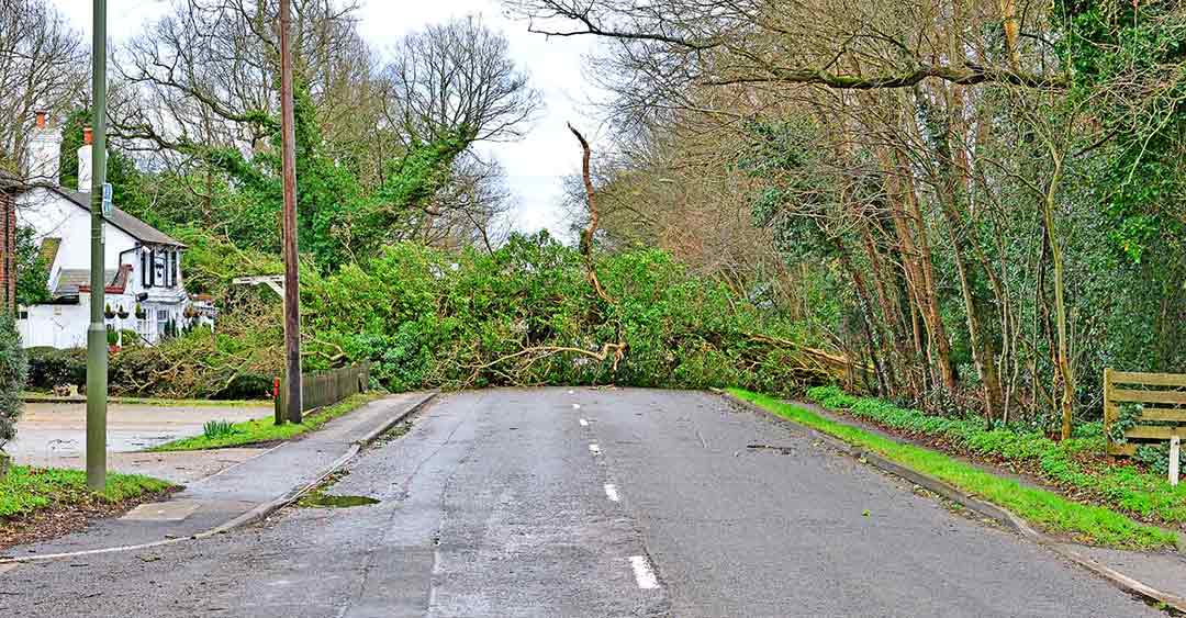 storm-dennis-clean-up-operation